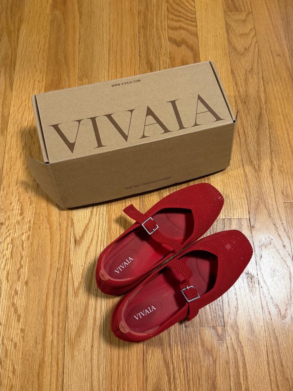 Vivaia Margot Mary Jane red ballet flats